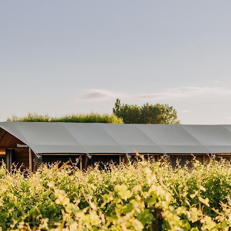Villas & Vines Glamping Hastings Bagian luar foto