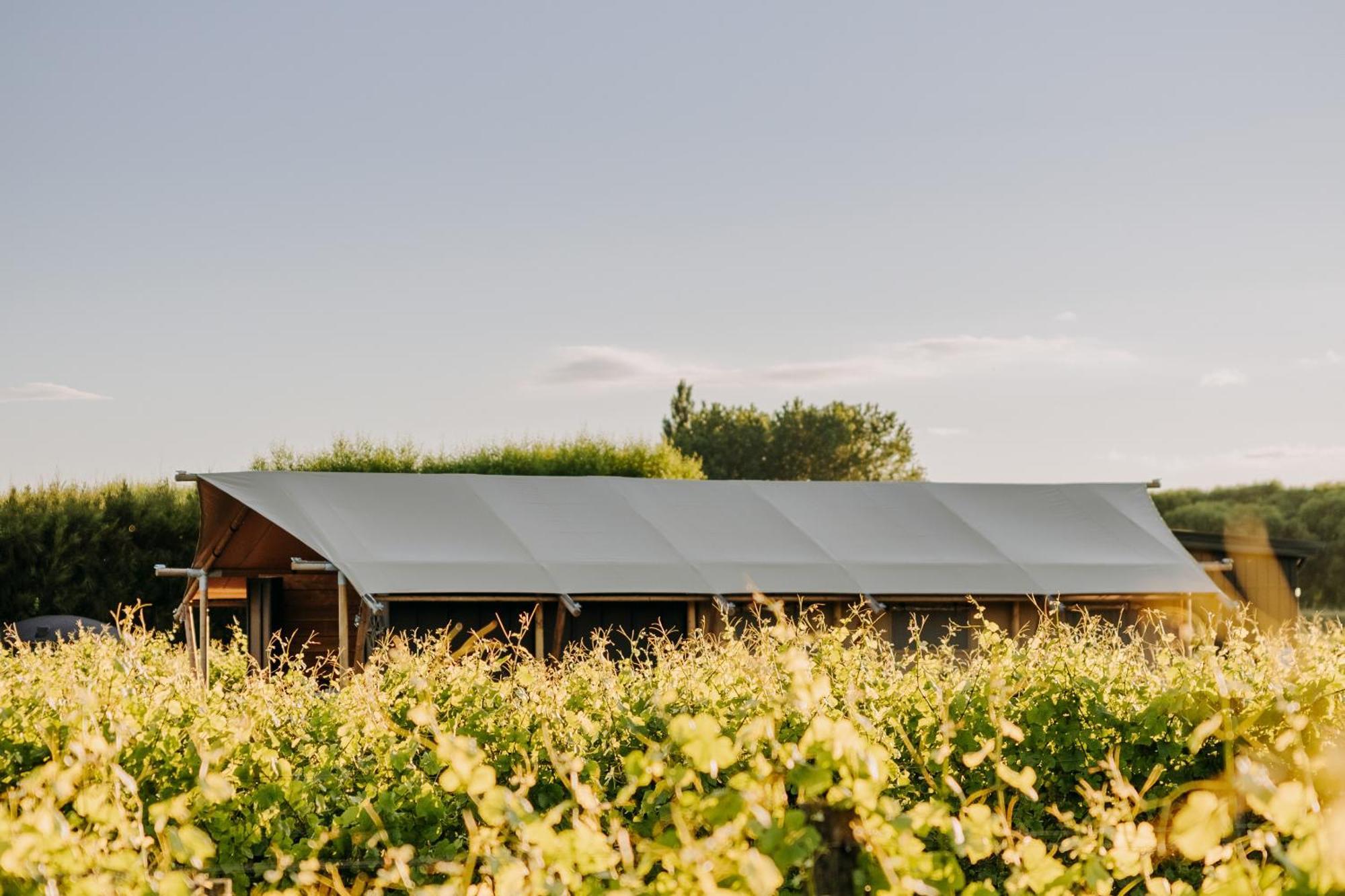 Villas & Vines Glamping Hastings Bagian luar foto