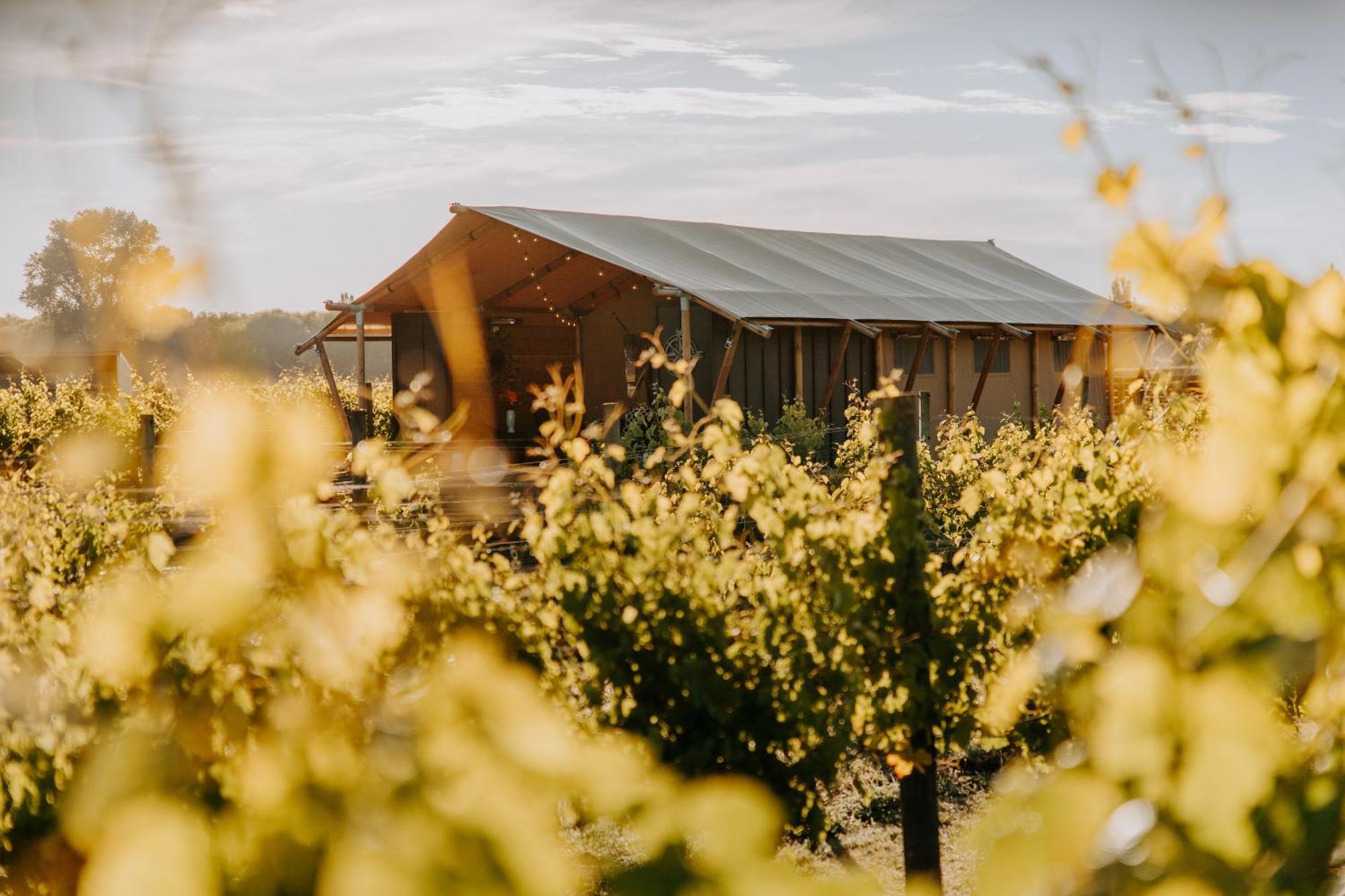 Villas & Vines Glamping Hastings Bagian luar foto