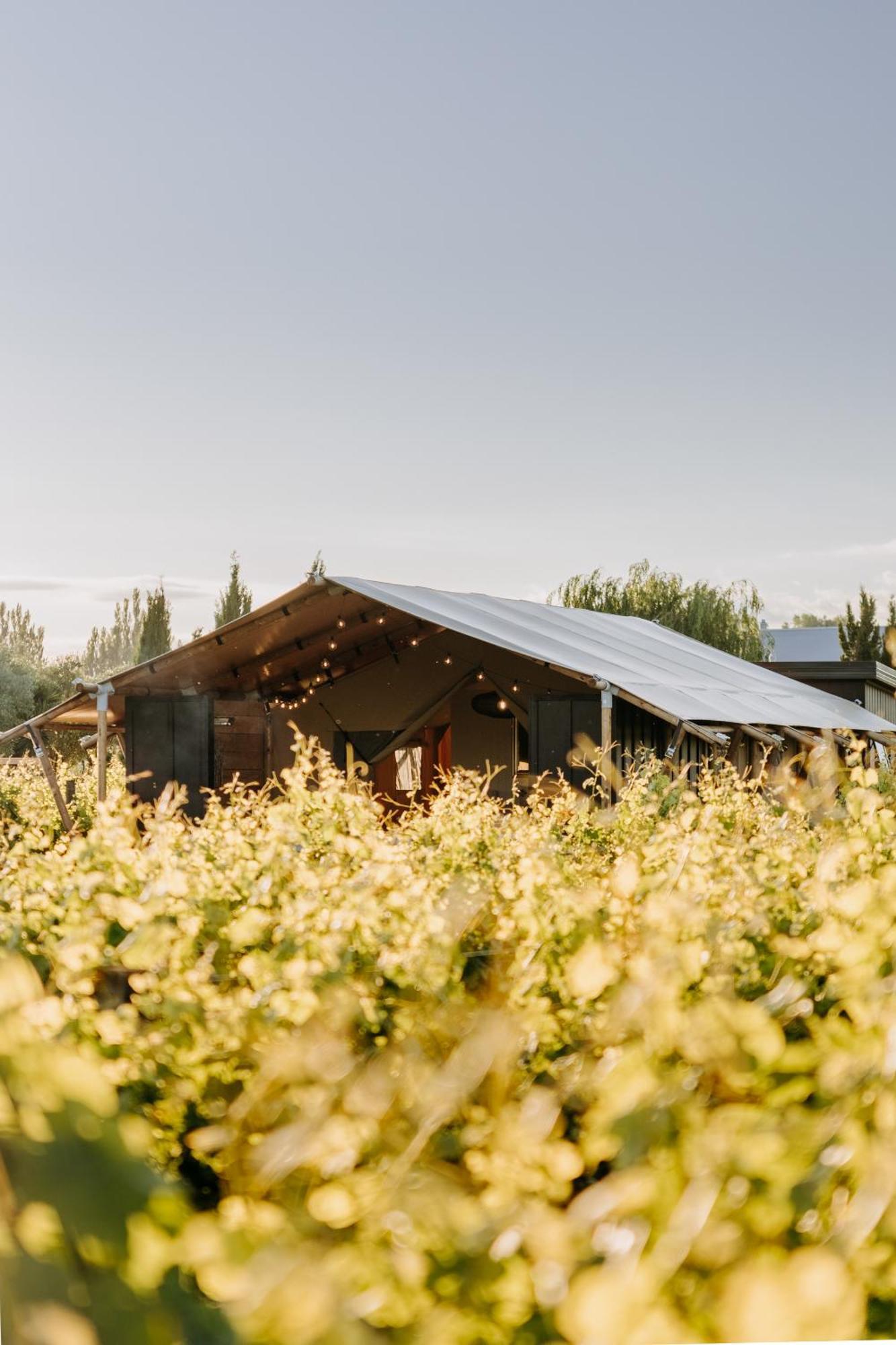 Villas & Vines Glamping Hastings Bagian luar foto