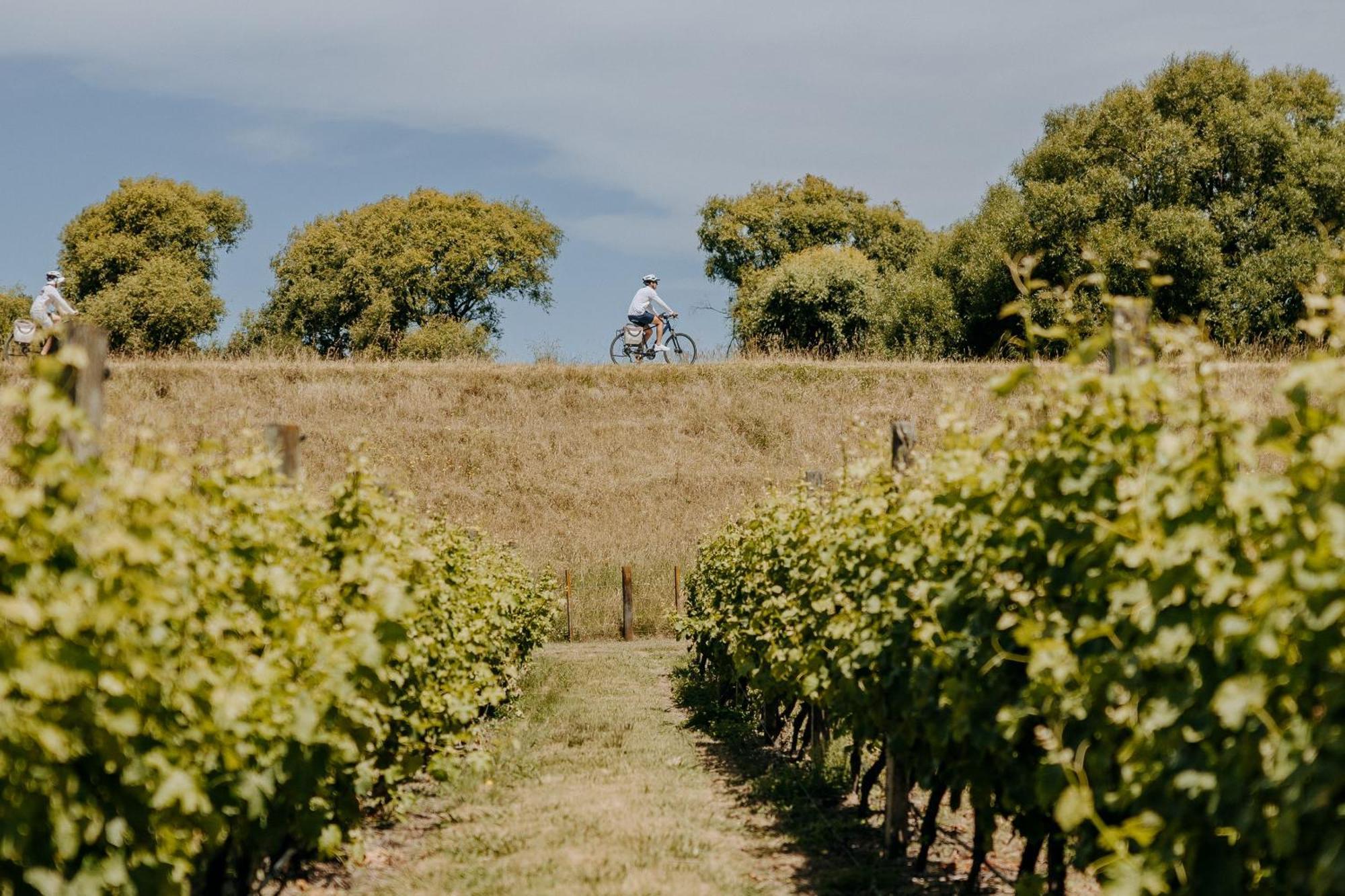 Villas & Vines Glamping Hastings Bagian luar foto